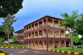 SPARK Institute 3